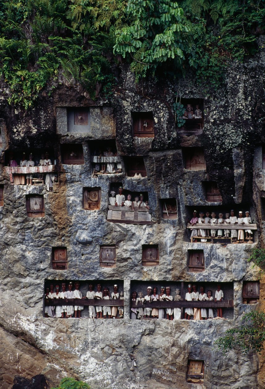 Funeral niches with Tau Tau mortuary figures, Lemo village, Tana Toraja, Sulawesi island, Indonesia. بواسطة غير معروف غير معروف