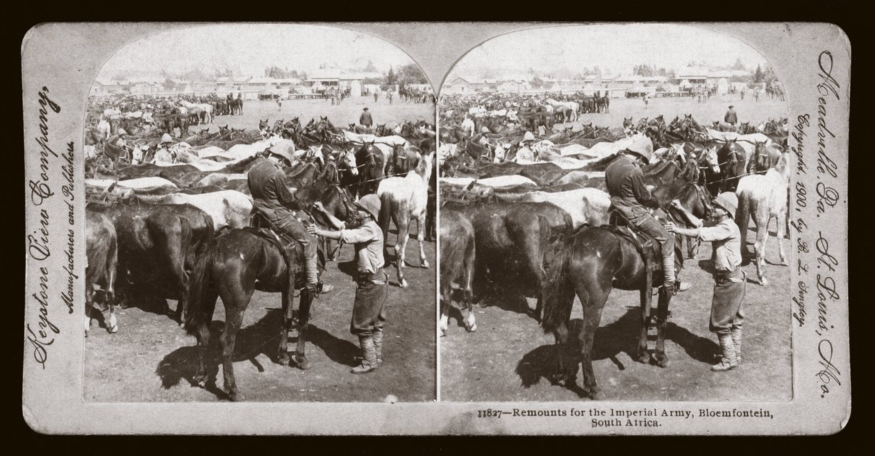 Guerre des Boers (Afrique du Sud بواسطة غير معروف غير معروف