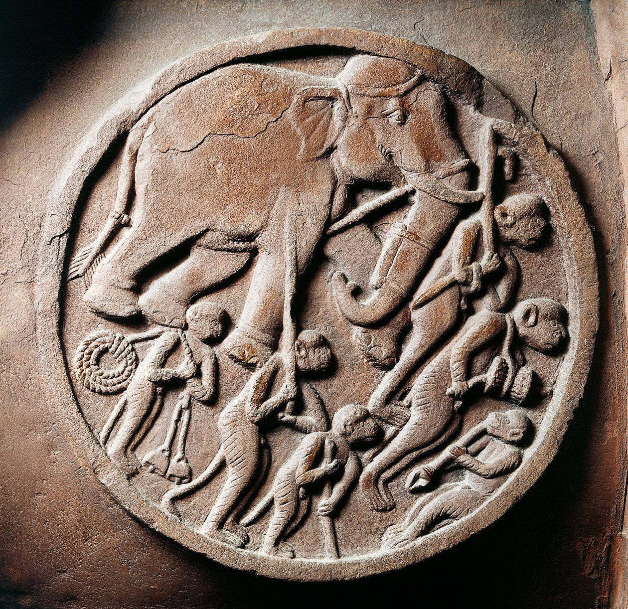 Medallion with monkeys and elephants, relief from Stupa of Bharhut, Buddhist monument, Madhya Pradesh, India, Indian Civilization, 2nd century BC بواسطة غير معروف غير معروف