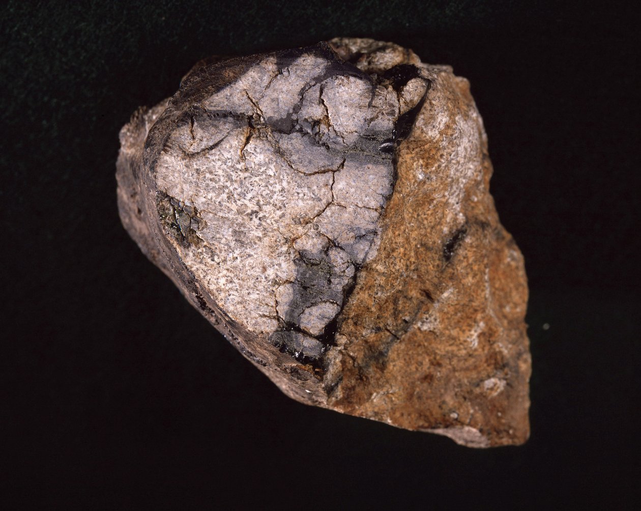 Meteorite found in India in 1875 - Museum d
