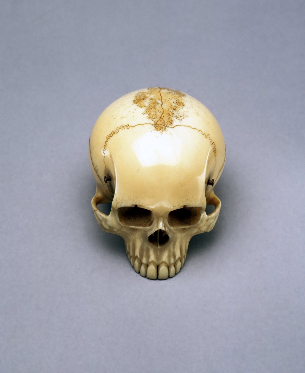 Model of a skull, probably a netsuke, Japanese بواسطة غير معروف غير معروف