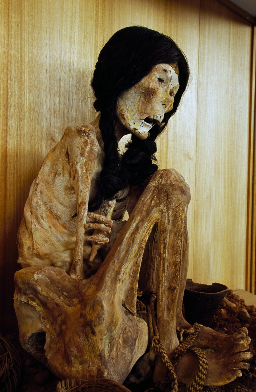 Mummy known as Miss Chile, from San Pedro de Atacama, Chile, 500 BC بواسطة غير معروف غير معروف