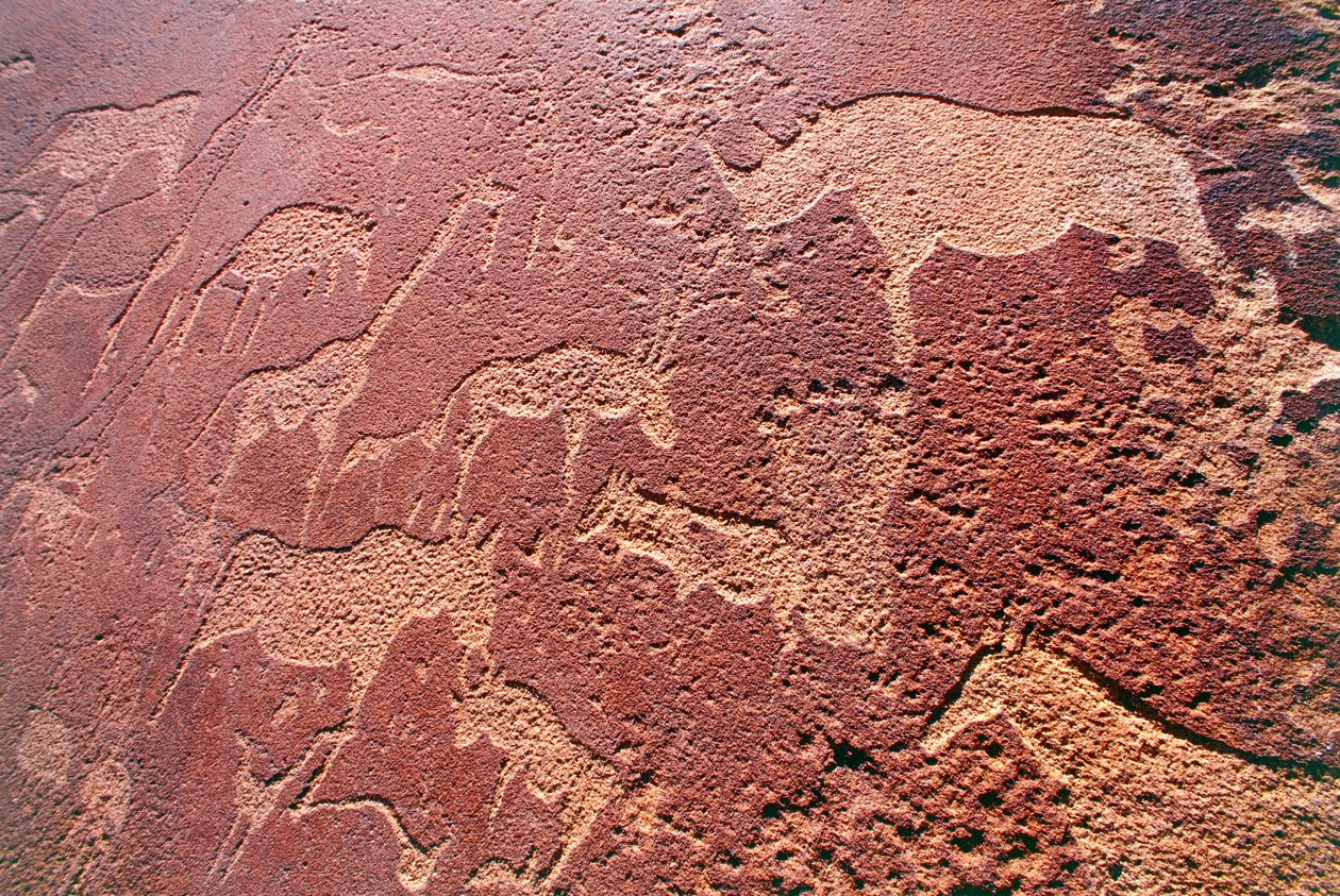Namibia, Damaraland Wilderness Area, Twyfelfontein, Brandberg Mountains, Stone Age rock engravings بواسطة غير معروف غير معروف