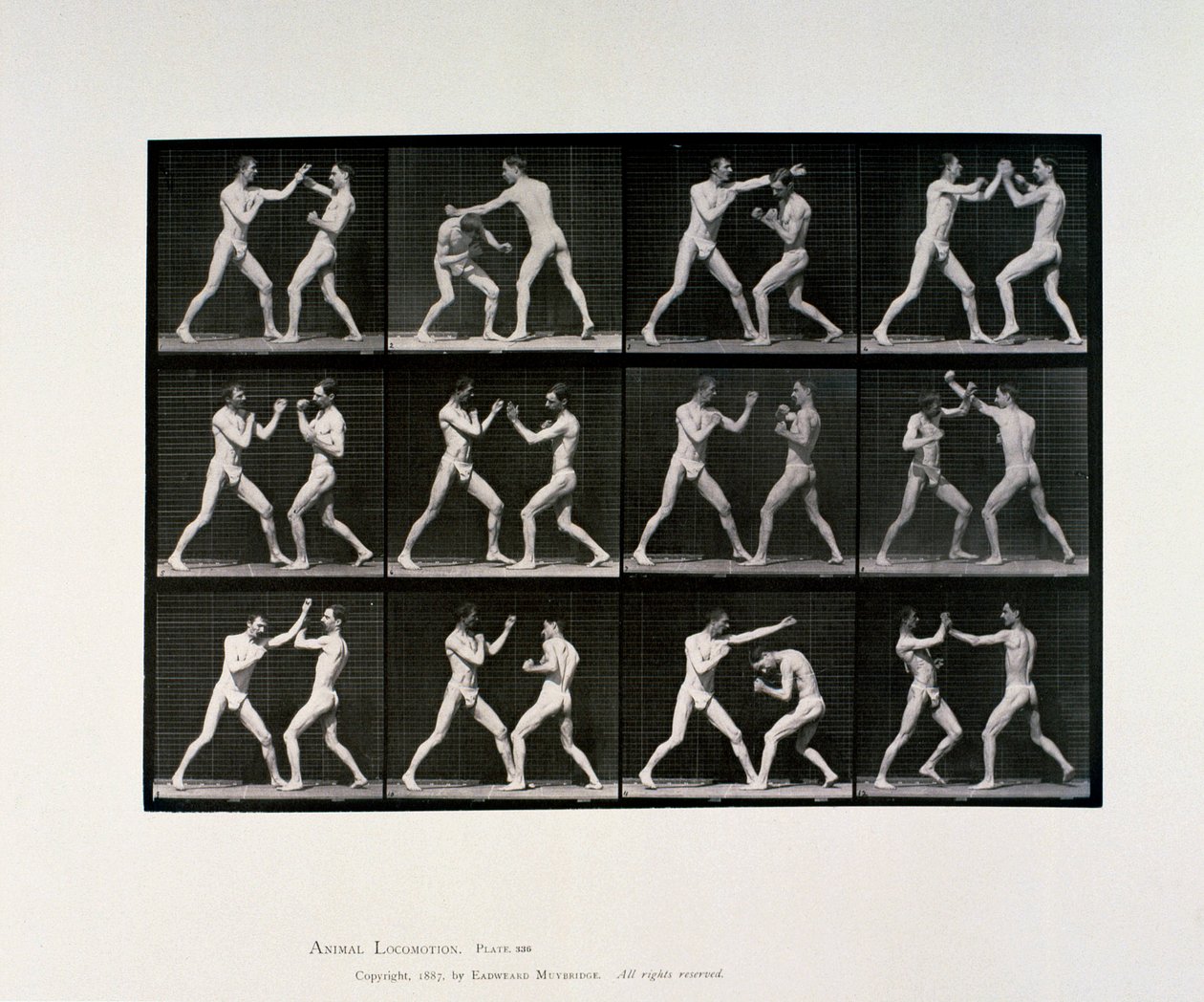 Nude male athletes boxing, c 1872-1885 بواسطة غير معروف غير معروف