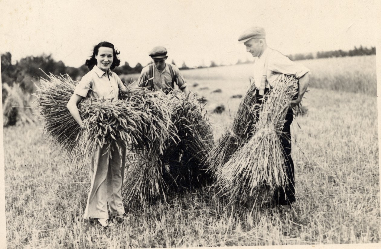 Photograph of Adele Astaire at harvest time (b/w photo) بواسطة غير معروف غير معروف