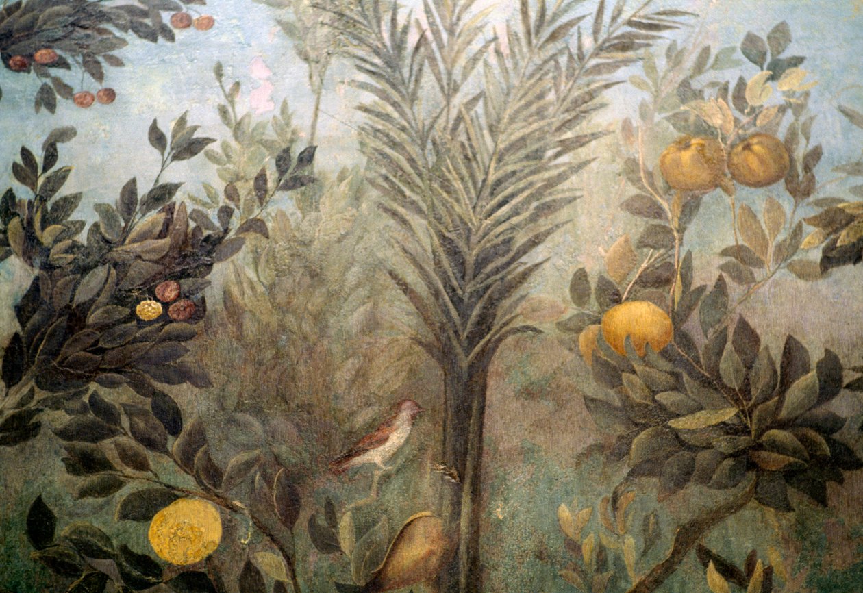 Pomegranate tree, detail from a fresco depicting a garden with fruit trees and birds, from the House of Livia on Palatine hill, Rome, Italy. Roman civilization بواسطة غير معروف غير معروف
