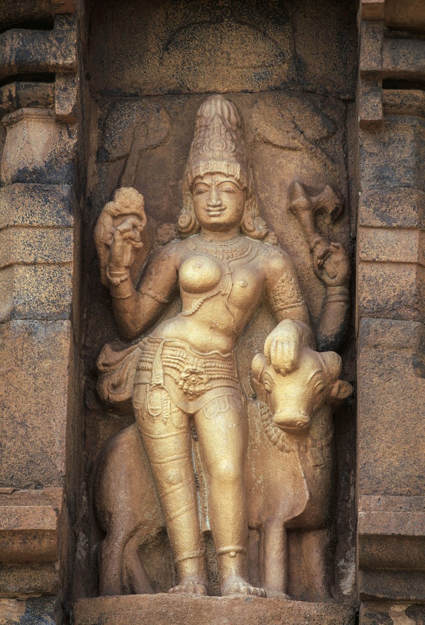 Relief depicting Parvati, Brihadisvara temple, Gangaikonda Cholapuram, Tamil Nadu, India بواسطة غير معروف غير معروف