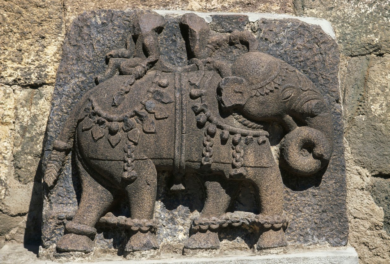 Relief depicting elephant, Daulatabad (Devagiri) fort, Maharashtra, India بواسطة غير معروف غير معروف