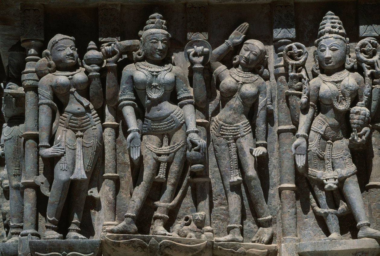 Relief depicting female figures, Adishvara temple, Vimalavasi Tuk, temple complex on Shatrunjaya hill, Palitana, Gujarat, India بواسطة غير معروف غير معروف