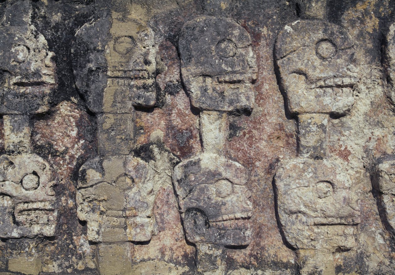 Relief depicting human skulls, detail of the Tzompantli, or Wall of Skulls, archaeological site of Chichen Itza (UNESCO World Heritage Site بواسطة غير معروف غير معروف