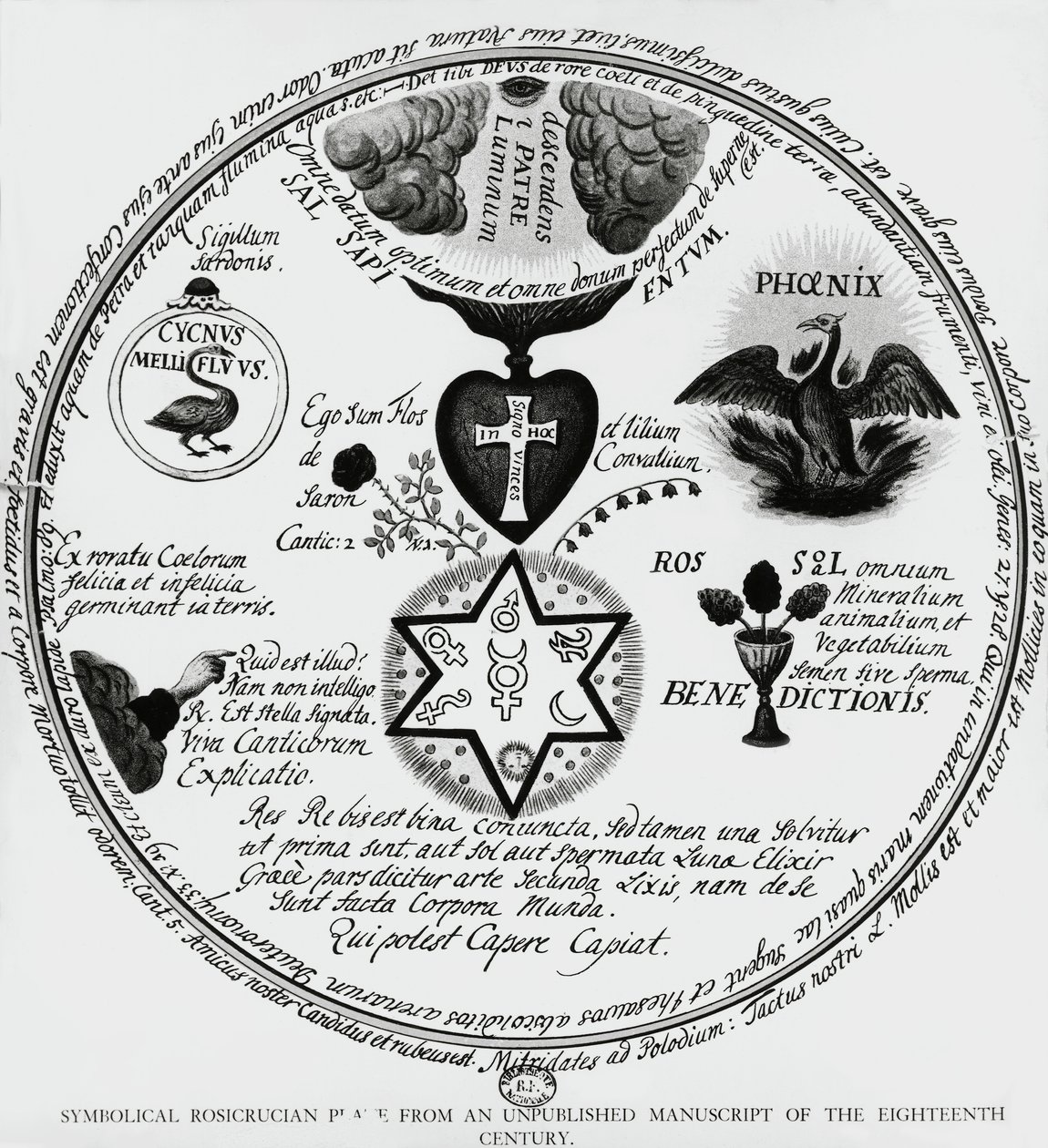 Symbols of the Rosicrucians, drawing from 18th century manuscript, France بواسطة غير معروف غير معروف