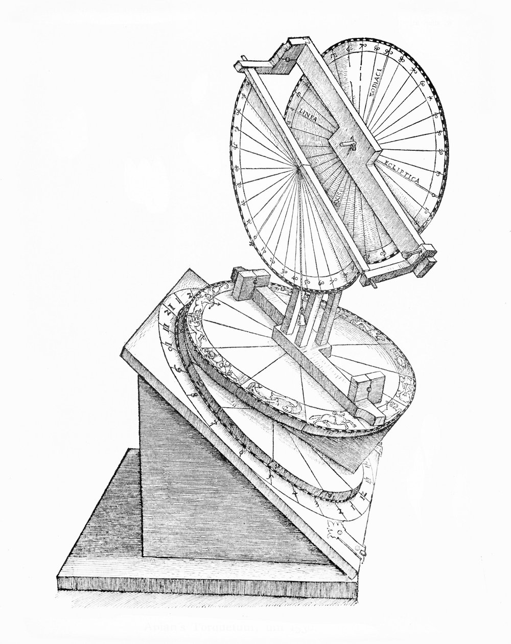 Torquetum, c 1530 بواسطة غير معروف غير معروف