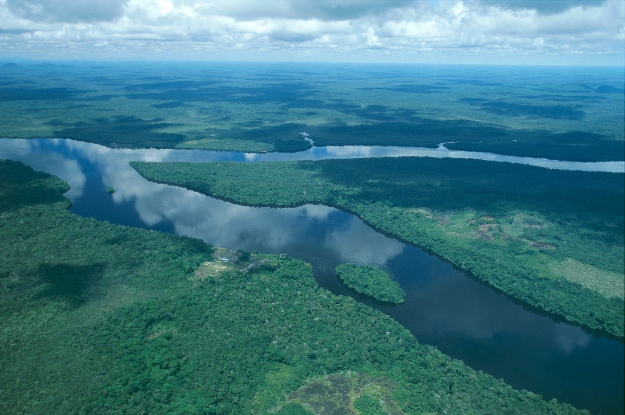 Venezuela, Guayana, Amazonas State, Orinoco River, aerial view (photo) بواسطة غير معروف غير معروف