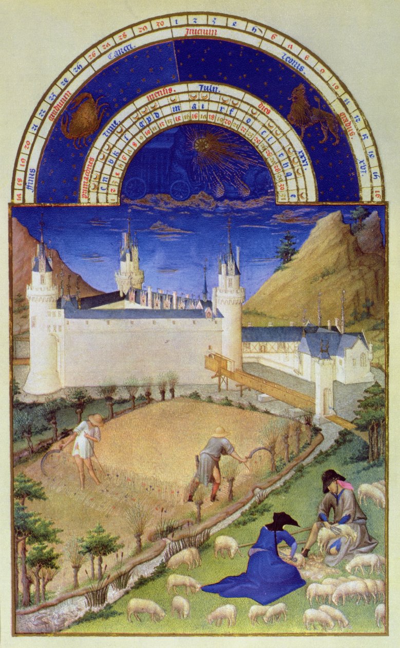 Fascimile of July: الحصاد وتربية الأغنام ، من "Tres Riches Heures du Duc de Berry" (للأصل ، انظر ٨٤٣٩) بواسطة ليمبورغ اخوان