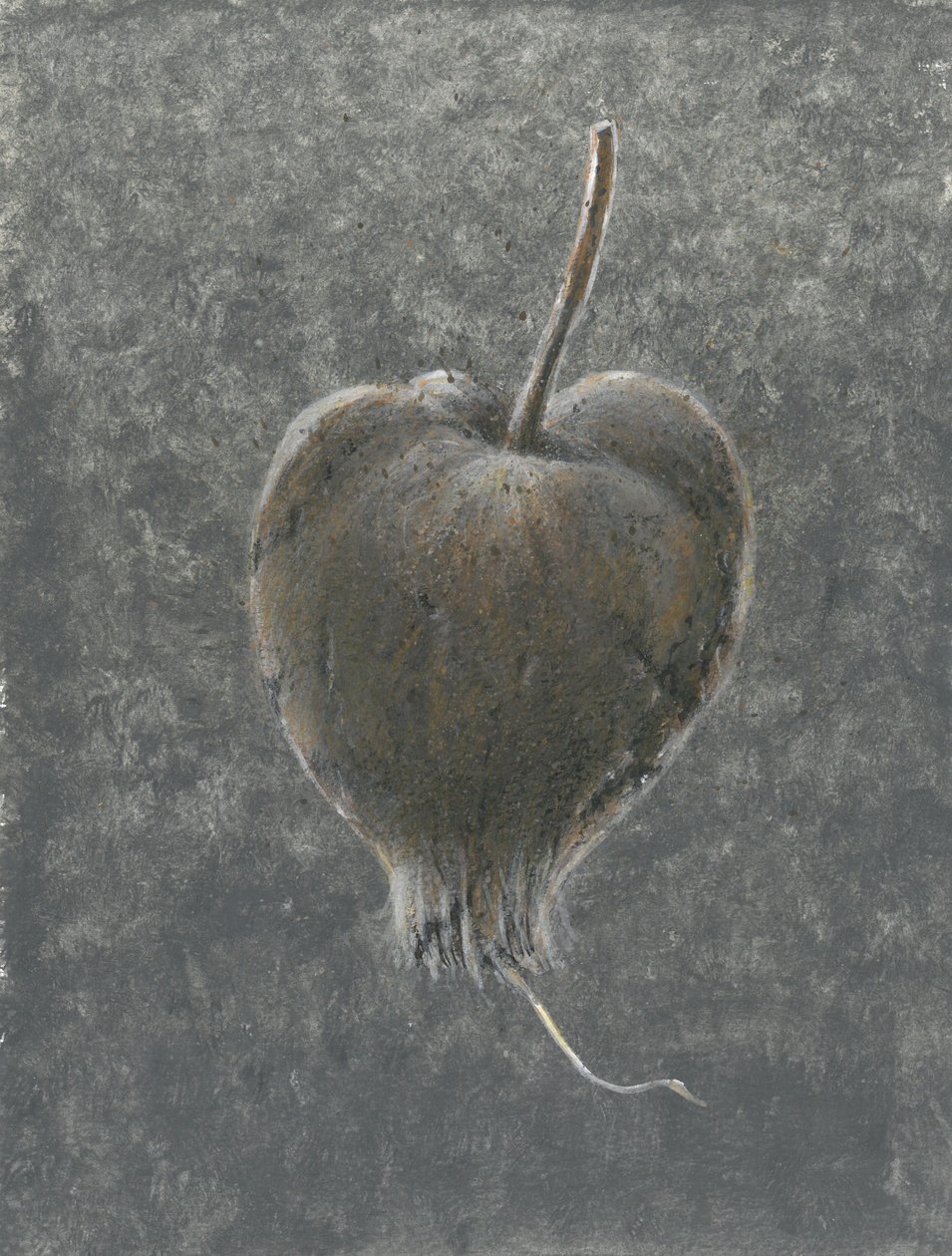 Barringtonia Acutangula (أكريليك على ورق) بواسطة لينكولن سيليجمان