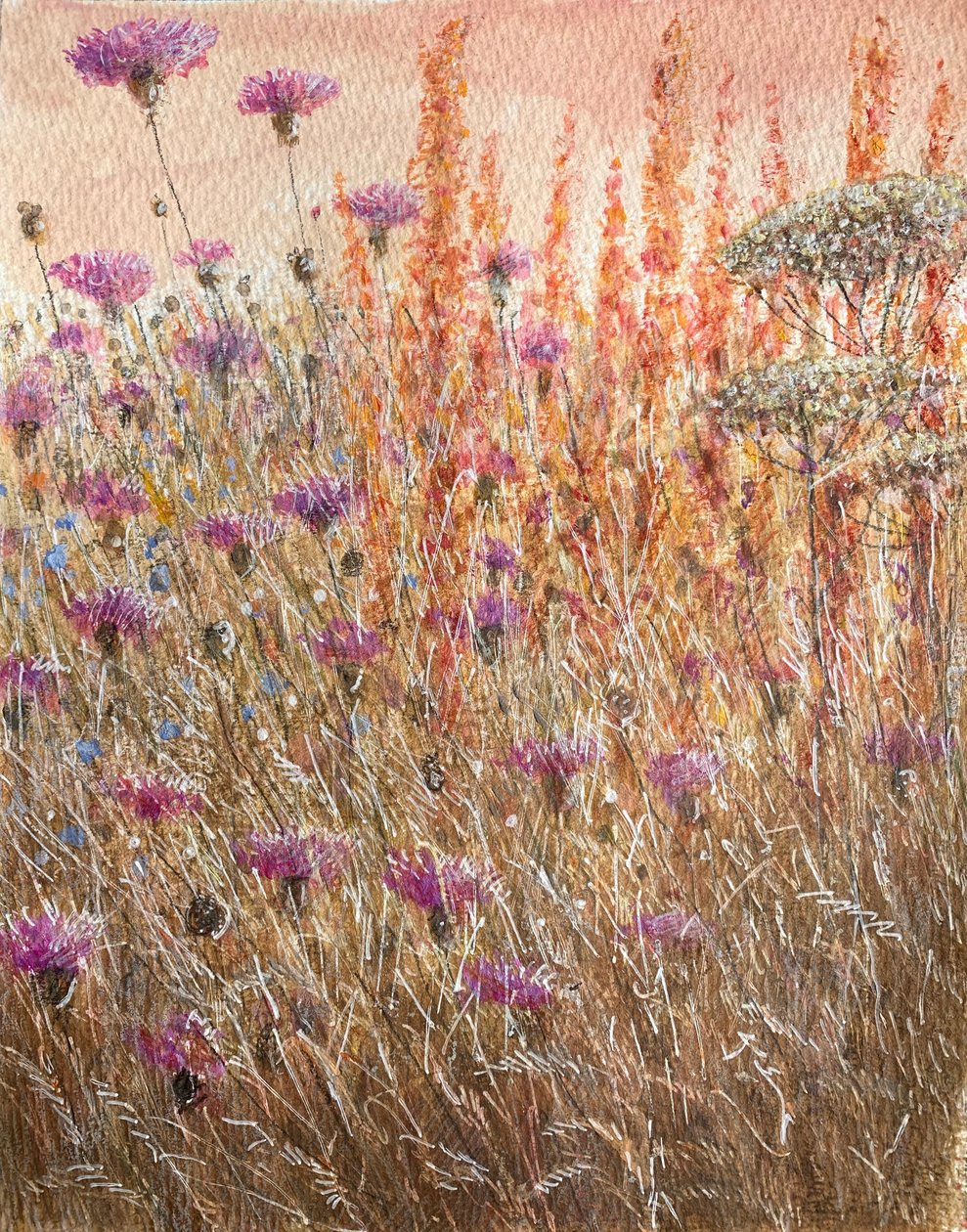 Scabious & Docks بواسطة لينكولن سيليجمان