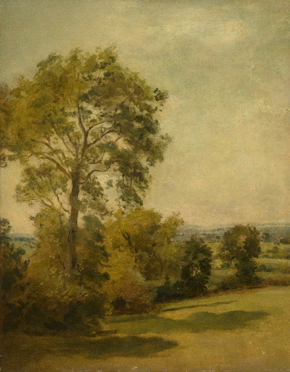 شجرة في منظر طبيعي ، c.1850 بواسطة ليونيل كونستابل