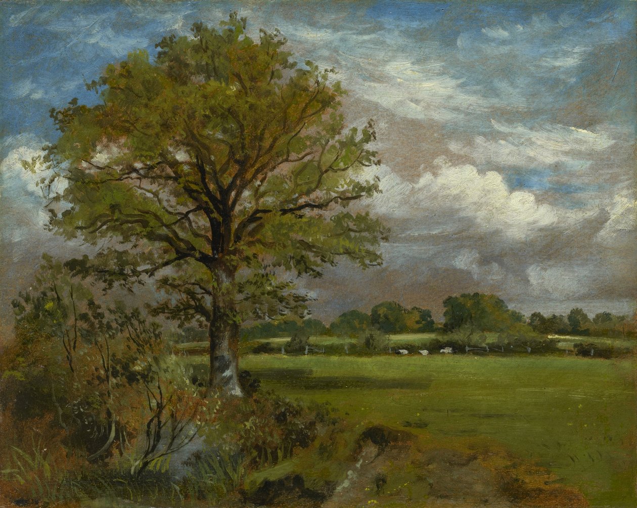 شجرة في مرج ، c.1850 بواسطة ليونيل كونستابل