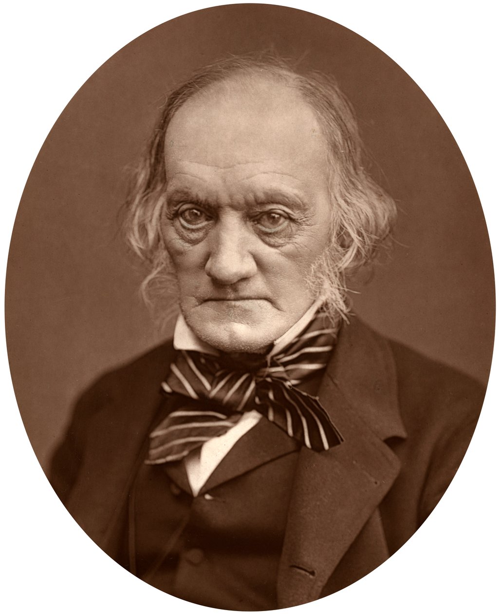 ريتشارد أوين ، 1878. بواسطة لوك ويتفيلد