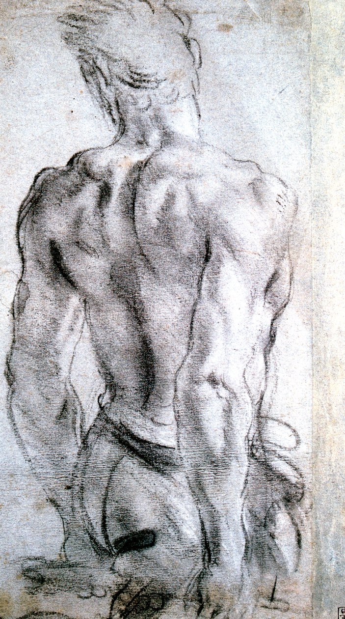 دراسة الشكل c1560-1609 بواسطة لودوفيكو كاراشي