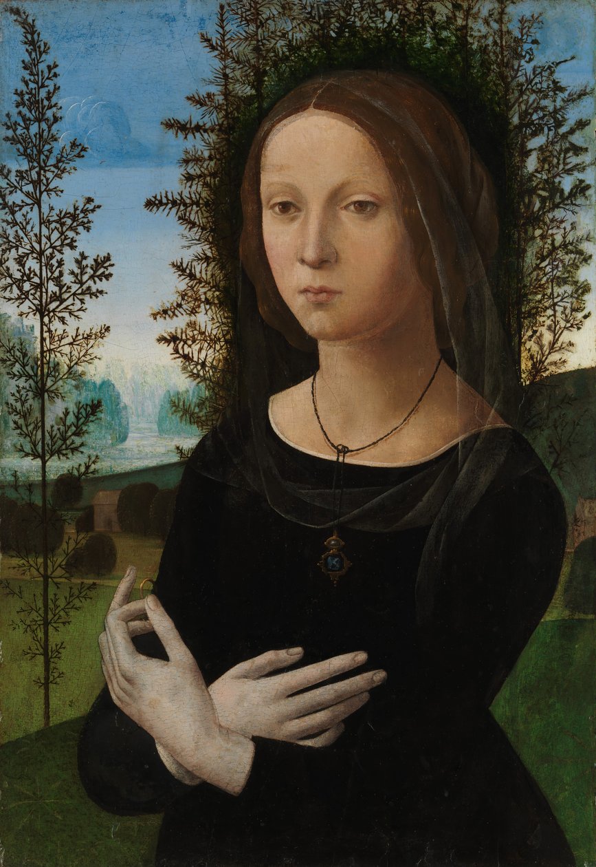 صورة لامرأة شابة ، كاليفورنيا. 1490-1500. بواسطة لورينزو دي كريدي