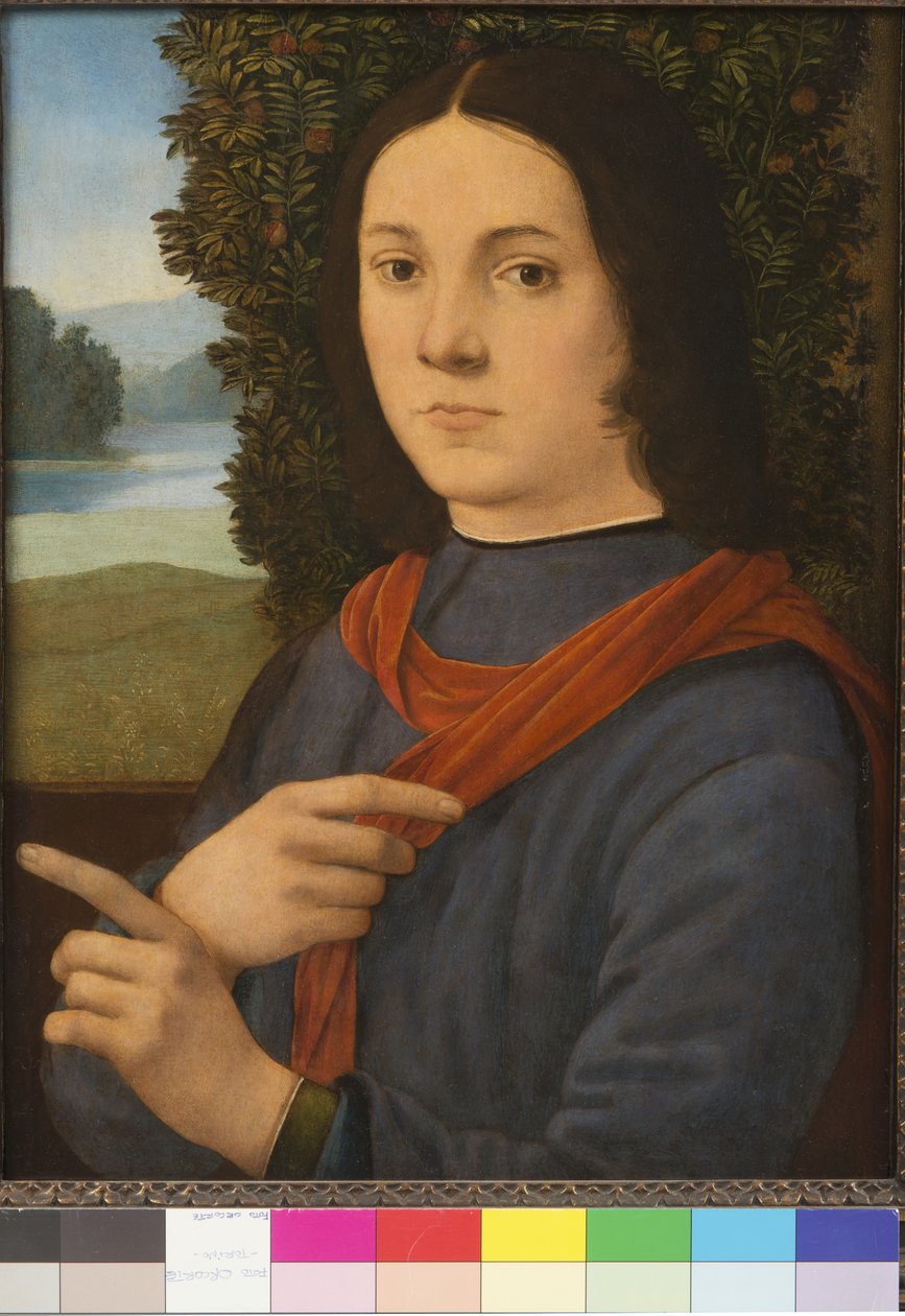 صورة لشاب ، 1490-1499 بواسطة لورينزو دي كريدي