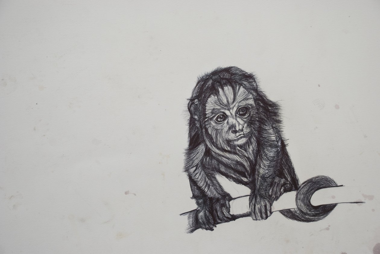 Monkey Business، 2016، (bic biro on paper) بواسطة لو جيبس