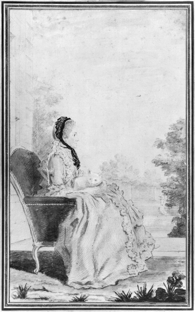 صورة مدام دو ديفاند ، 1760 (قلم رصاص ومرحاض على ورق) بواسطة لويس كاروجيس ديت كارمونتيل