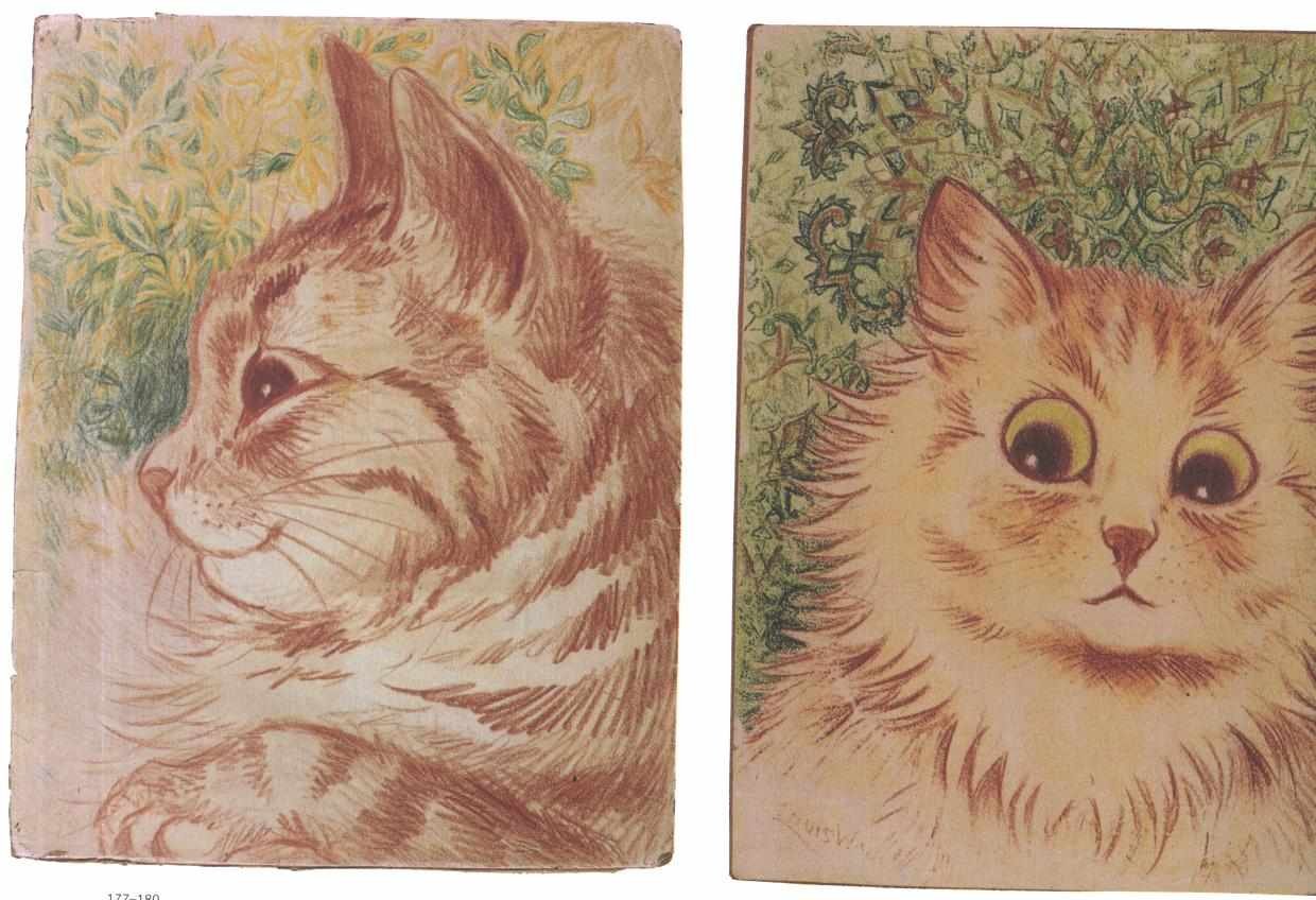 كاتزنالإنجليزية: Catsn بواسطة لويس وين