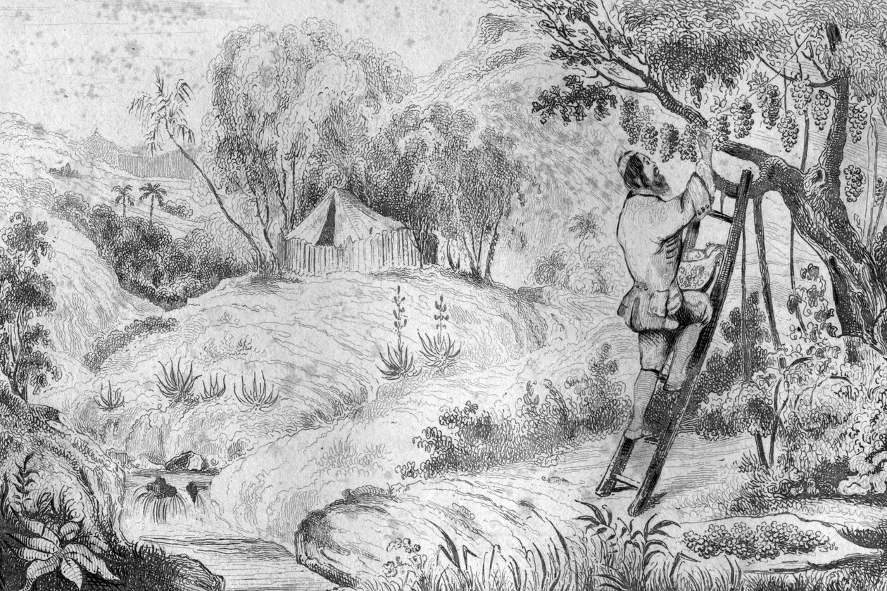 كان لدي أكثر من مائتي مجموعة ... نقش بعد رسم M. de Sainson لكتاب Daniel Defoe (De foe) "Robinson Crusoe" "الطبعة الفرنسية لعام 1837. بواسطة لويس أوغست دي سينسون
