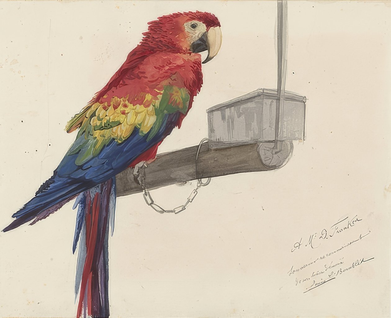 ببغاء. 1879 بواسطة تفجير لويس تشارلز