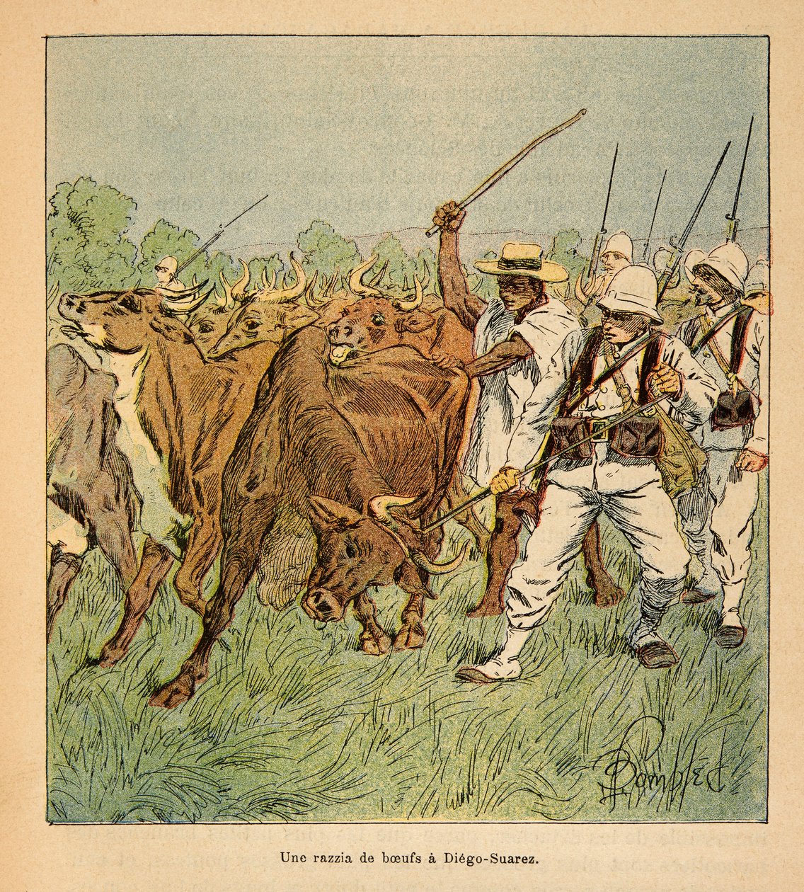الحرب في مدغشقر - التاريخ القصصي للبعثات الفرنسية 1885-1895 بقلم هنري جالي ديت جاليشيت (1854-1922) ، رسمها لويس بومبلد (1862-1927): في دييجو-سواريز ، طلب الجيش الفرنسي الثيران ، مجموعة خاصة بواسطة تفجير لويس تشارلز