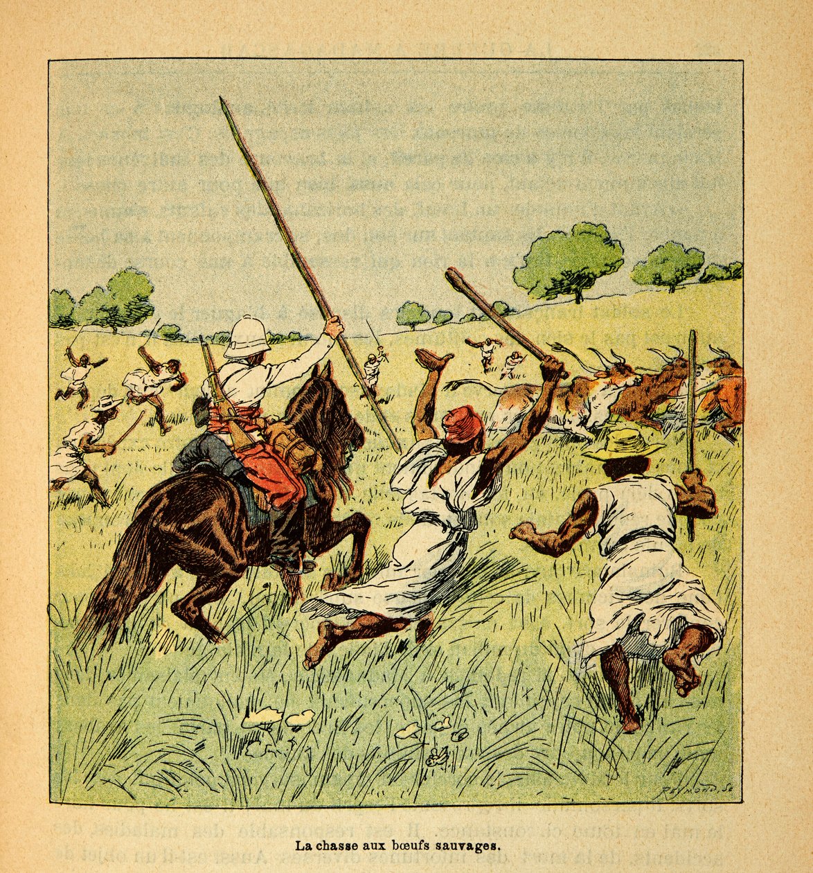 الحرب في مدغشقر - التاريخ القصصي للبعثات الفرنسية 1885-1895 بقلم هنري جالي ديت جاليشيت (1854-1922) ، رسمها لويس بومبلد (1862-1927): صيد الثيران البرية في مدغشقر في عام 1895 ، مجموعة خاصة بواسطة تفجير لويس تشارلز