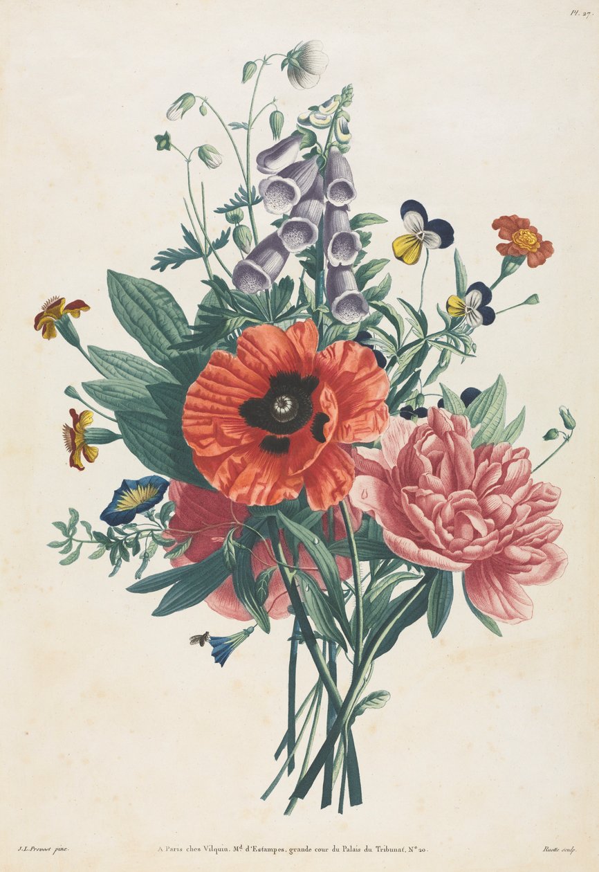 مجموعة من الزهور والفواكه المرسومة بعد الطبيعة: باقة Foxglove ، ياسمين ... ، 1805. بواسطة لويس تشارلز روتي