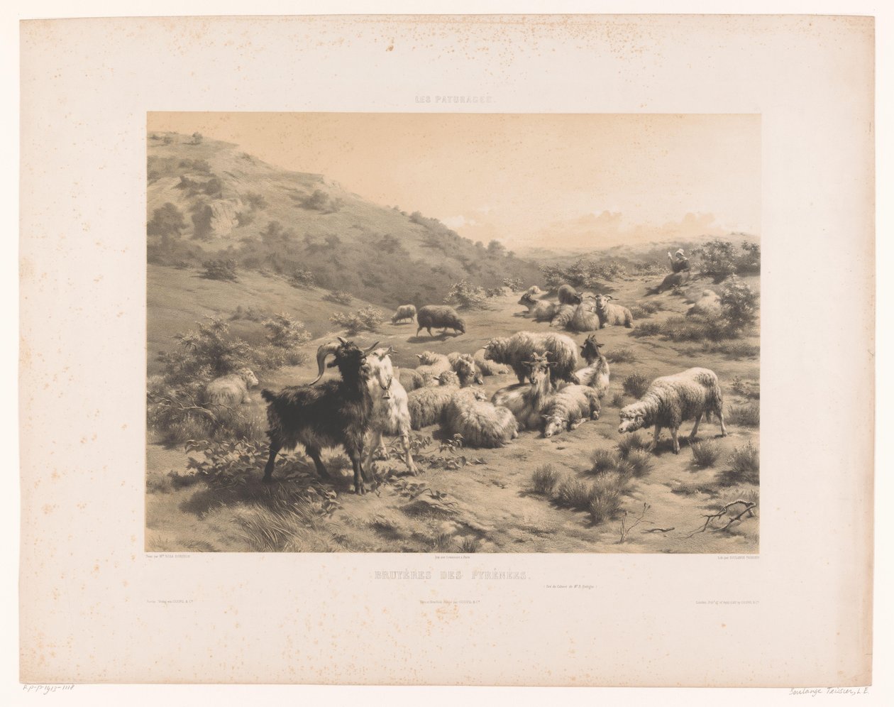 راعية مع الماعز والأغنام في جبال البرانس Bruyéres des Pyrénées (العنوان على الكائن) المراعي (عنوان المسلسل) لي باتورات (عنوان المسلسل على الكائن) بواسطة لويس إيمانويل سولانج تيسييه