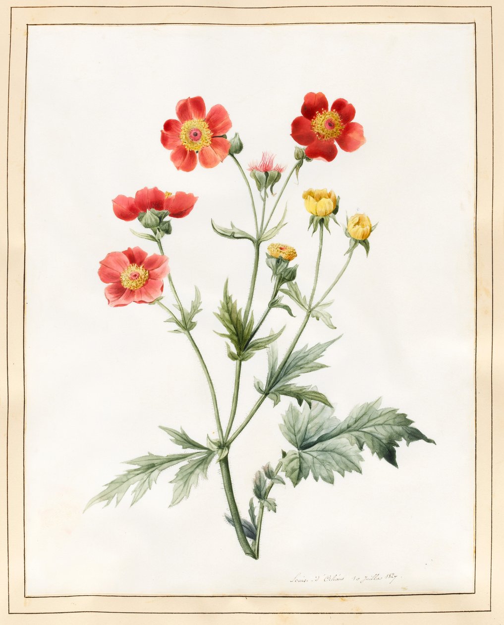 مركب ، 1827 (مرحاض مع بعض لون الجسم على الرق) بواسطة لويز دورلينز