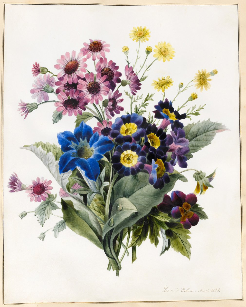 الزهور المختلطة ، Aster sp. ، Auricula ، Ragwort ، Viola ، Campanula ، Gentiana Acaulis ، 1828 (مرحاض مع بعض لون الجسم على الرق) بواسطة لويز دورلينز