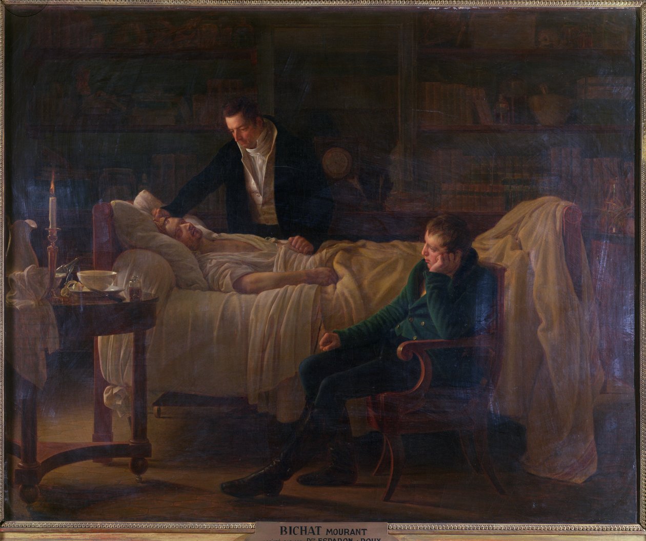 وفاة ماري فرانسوا كزافييه بيشات (1771-1802) محاطًا بالطبيبين إسبارون وفيليبيرت جوزيف رو (1780-1854) بواسطة لويز ماري جين هيرسينت