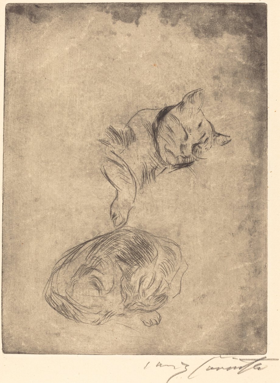Katzenstudie (دراسة القطط) بواسطة لوفيس كورنث