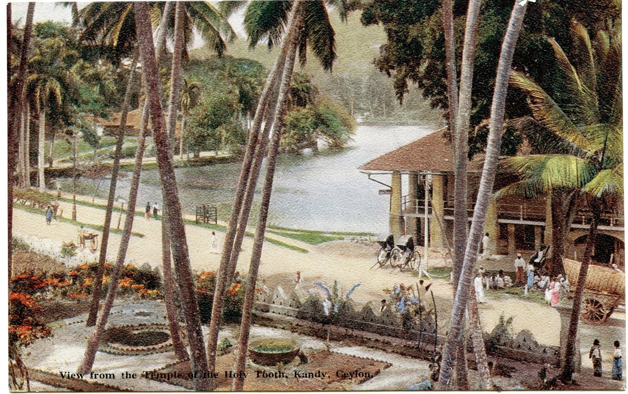 منظر من معبد السن المقدس ، كاندي ، سيلان ، c.1900-20 (صورة ملونة باليد) بواسطة Ltd. سيلان بلاتيه