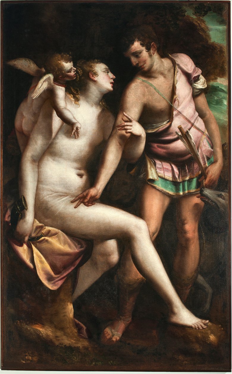 رسم فينوس وأدونيس للوكا كامبياسو (1527-1585) جينات القرن السادس عشر ، متحف سترادا نوفا (قصر بيانكو سابقًا) بواسطة لوكا كامبياسو