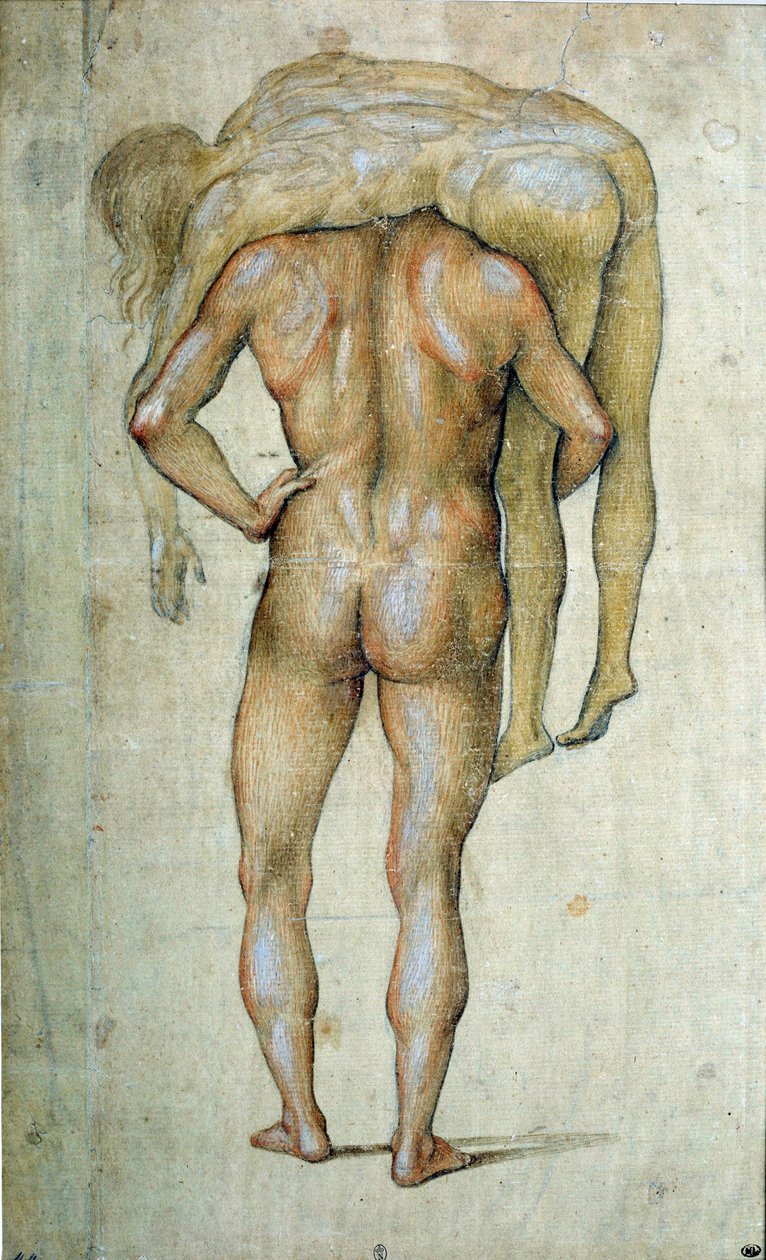 رجل يرتدي جسدًا رسم بواسطة لوكا سينيوريلي (1441-1523) القرن الخامس عشر ، باريس ، متحف اللوفر بواسطة لوكا سينيوريلي