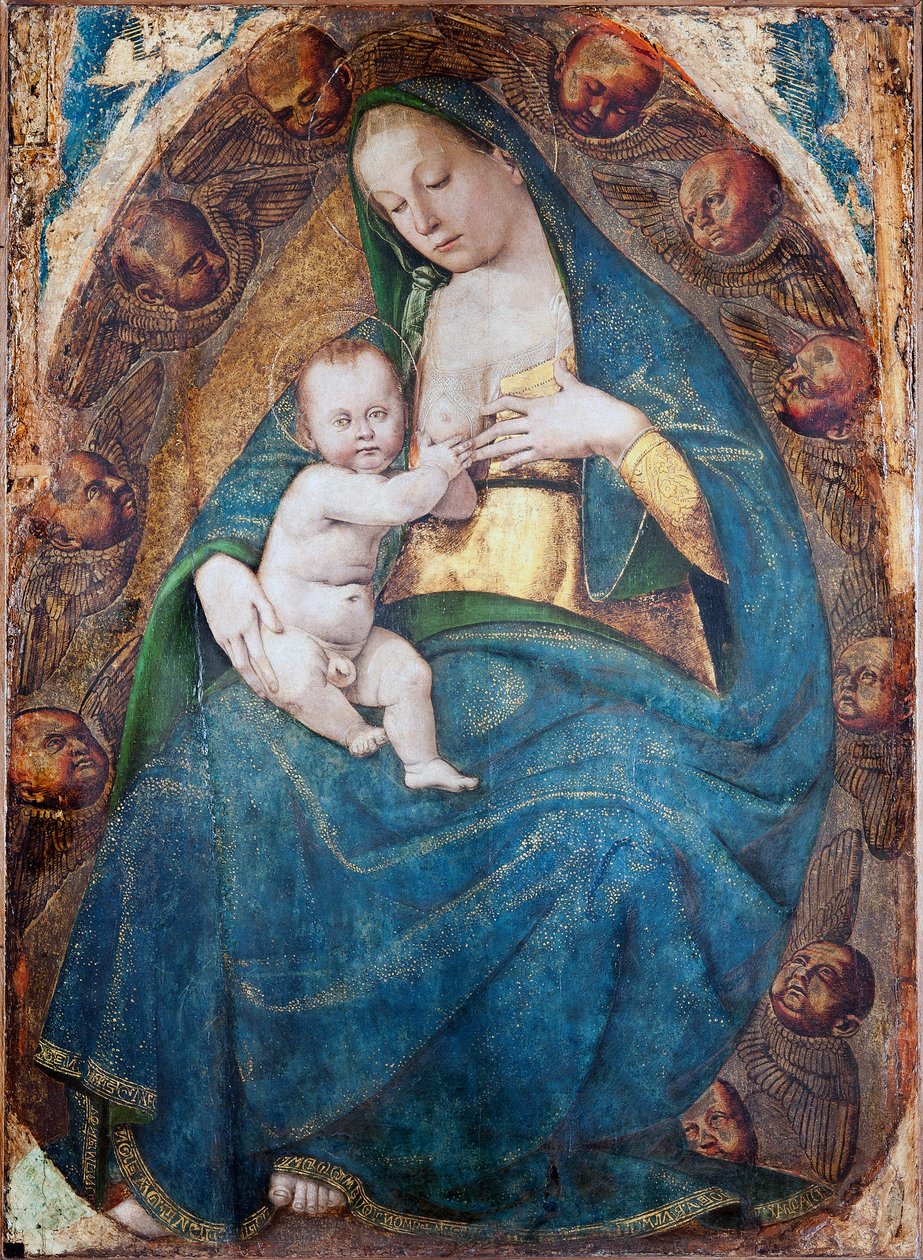 تمريض مادونا ، 1482-c.1485 بواسطة لوكا سينيوريلي