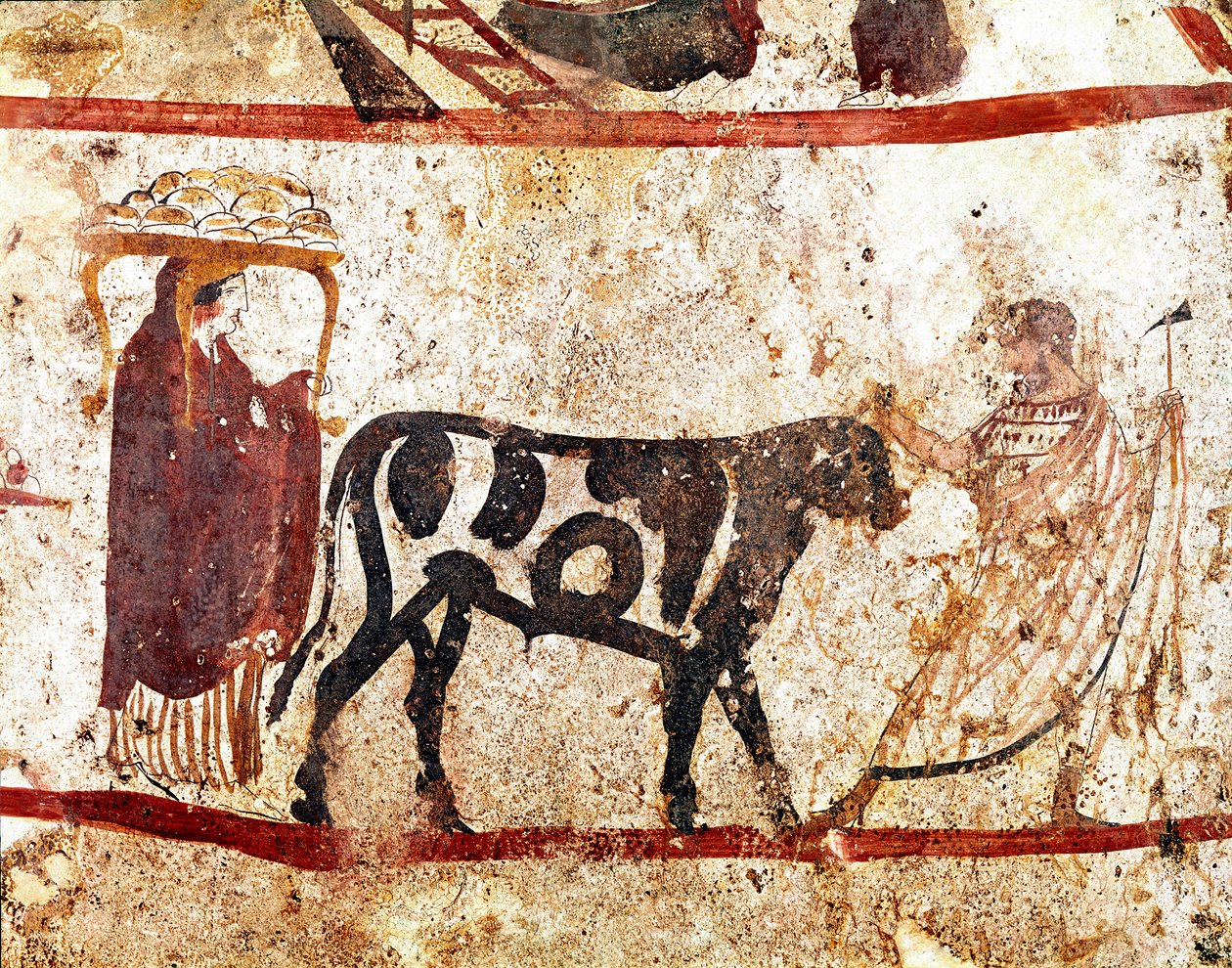 A bull leads on the altar of the sacrifice Lucanian fresco from the 4th century BC, from the necropolis of Andriuolo in Paestum, Italy. Museo nazionale archeologico, Paestum بواسطة مدرسة Lucanian