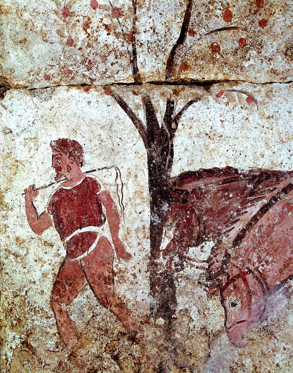 A peasant pulling two horses Lucanian fresco from the 4th century BC, from the necropolis of Paestum, Italy. Museo nazionale archeologico, Paestum بواسطة مدرسة Lucanian