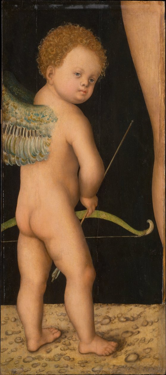 أمور - عمر ، بواسطة كرانش ، لوكاس ، الأكبر (1472-1553). زيت على خشب ، حوالي ١٥٣٠. الأبعاد: ٨١ × ٣٦ سم. متحف تاريخ الفن ، فيين بواسطة لوكاس الأكبر كراناش