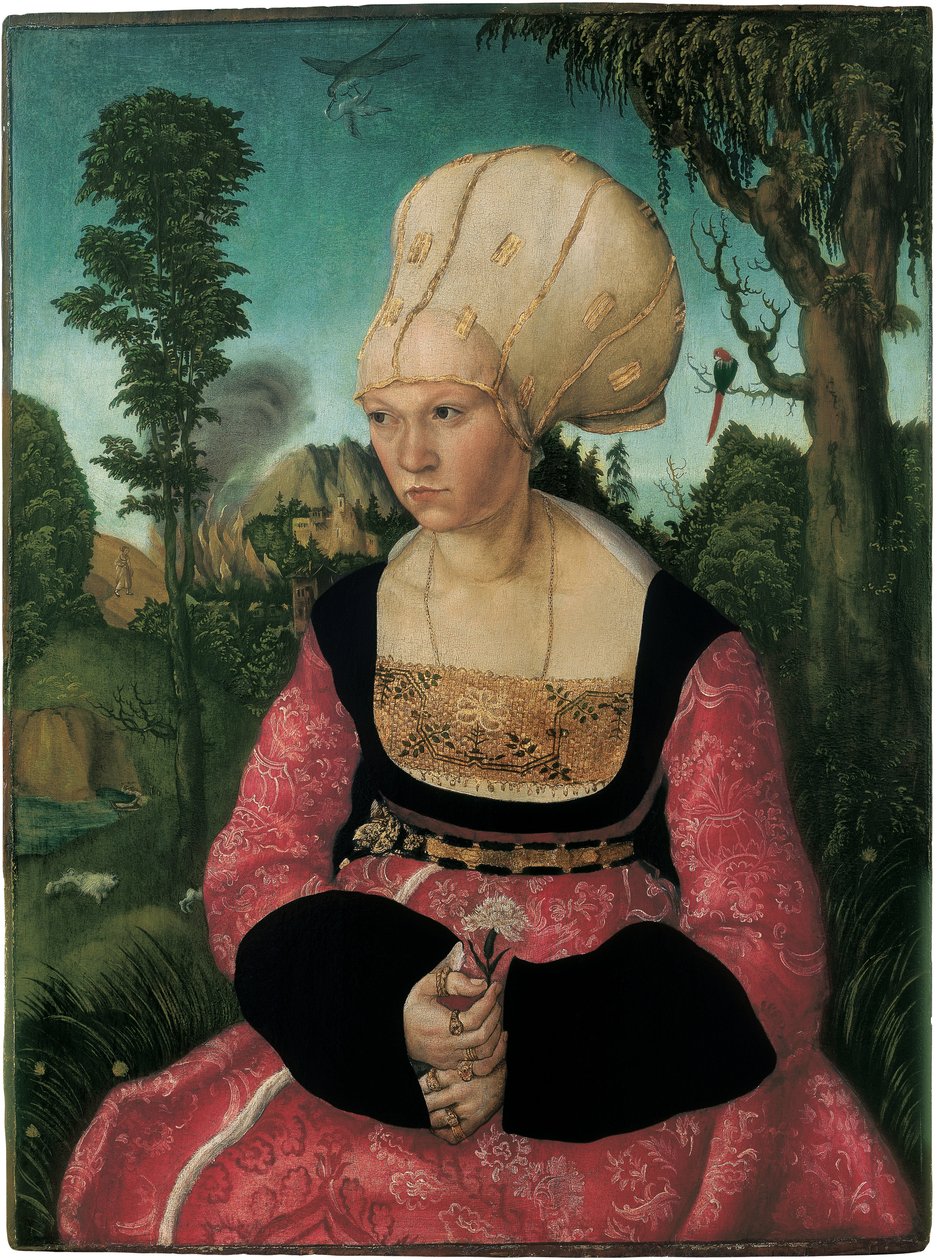 صورة آنا كوسبينيان ، بواسطة كرانش ، لوكاس ، الأكبر (1472-1553). زيت على خشب بواسطة لوكاس الأكبر كراناش