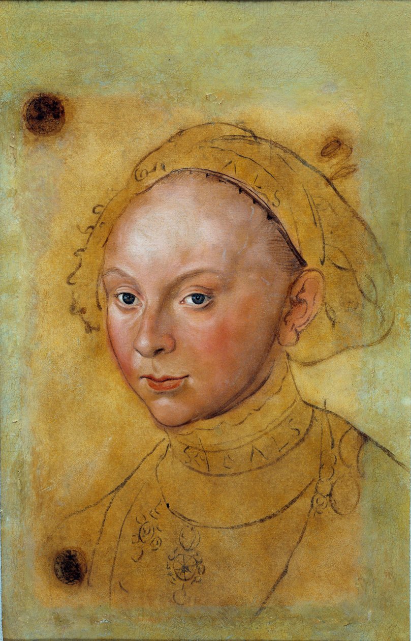 صورة لكاثرين دي برونزويك جروبنهاغن لوحة لوكاس كرانش (1472-1553) بواسطة لوكاس الأكبر كراناش