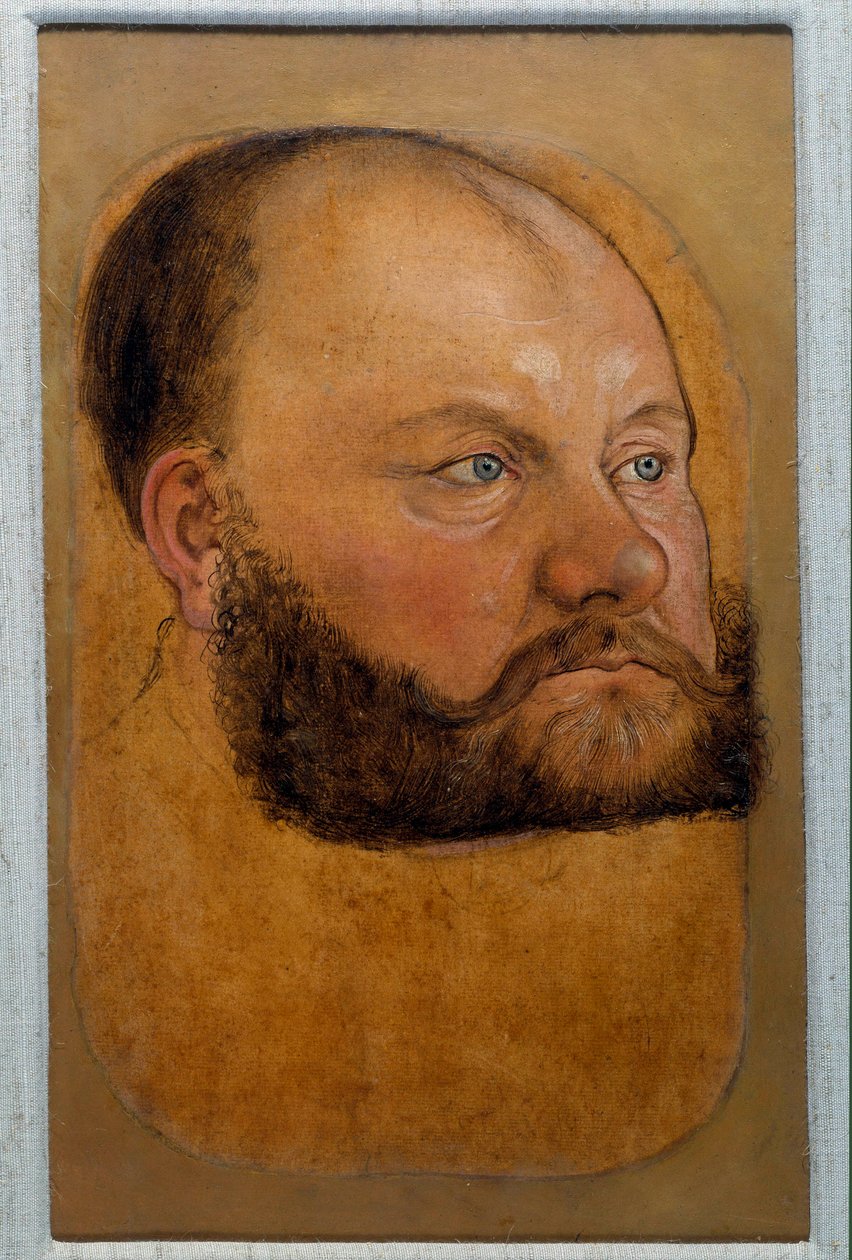صورة للأمير وولف أنهالت من ساكسونيا ، أمير الإصلاح الباستيل رسم لوكاس كراناش القديم (أو الأكبر) بواسطة لوكاس الأكبر كراناش