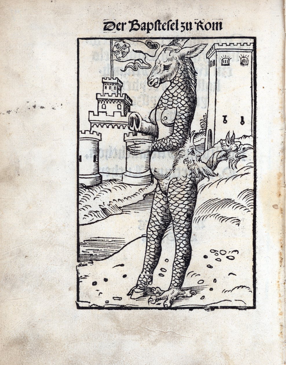 The Bapstesel zu Rom (البابا Asse أو البابا Asse of Rome) ، بقلم كرانش ، لوكاس ، الأكبر (1472-1553). قطع خشبية بواسطة لوكاس الأكبر كراناش